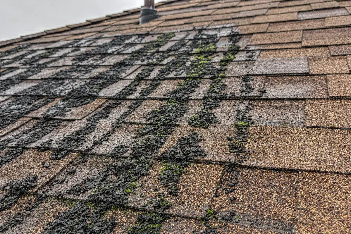 Dark algae streaking across an aged brown asphalt shingle roof